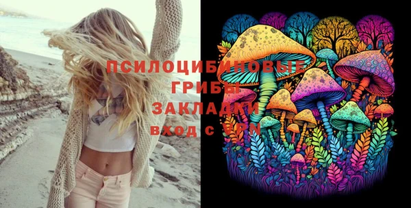 индика Алексеевка