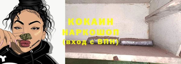 ешки Алексин
