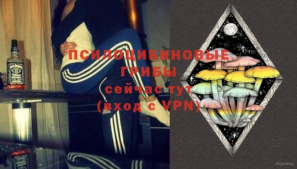 стафф Ростов