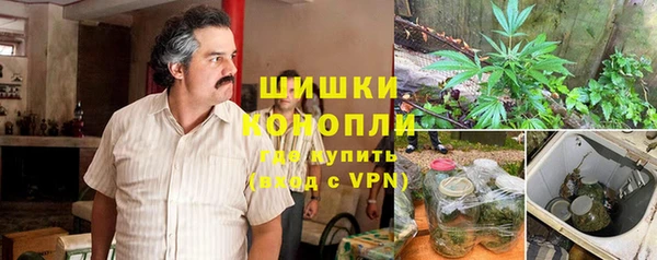 ешки Алексин