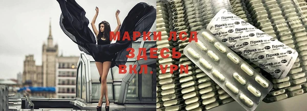 стафф Ростов